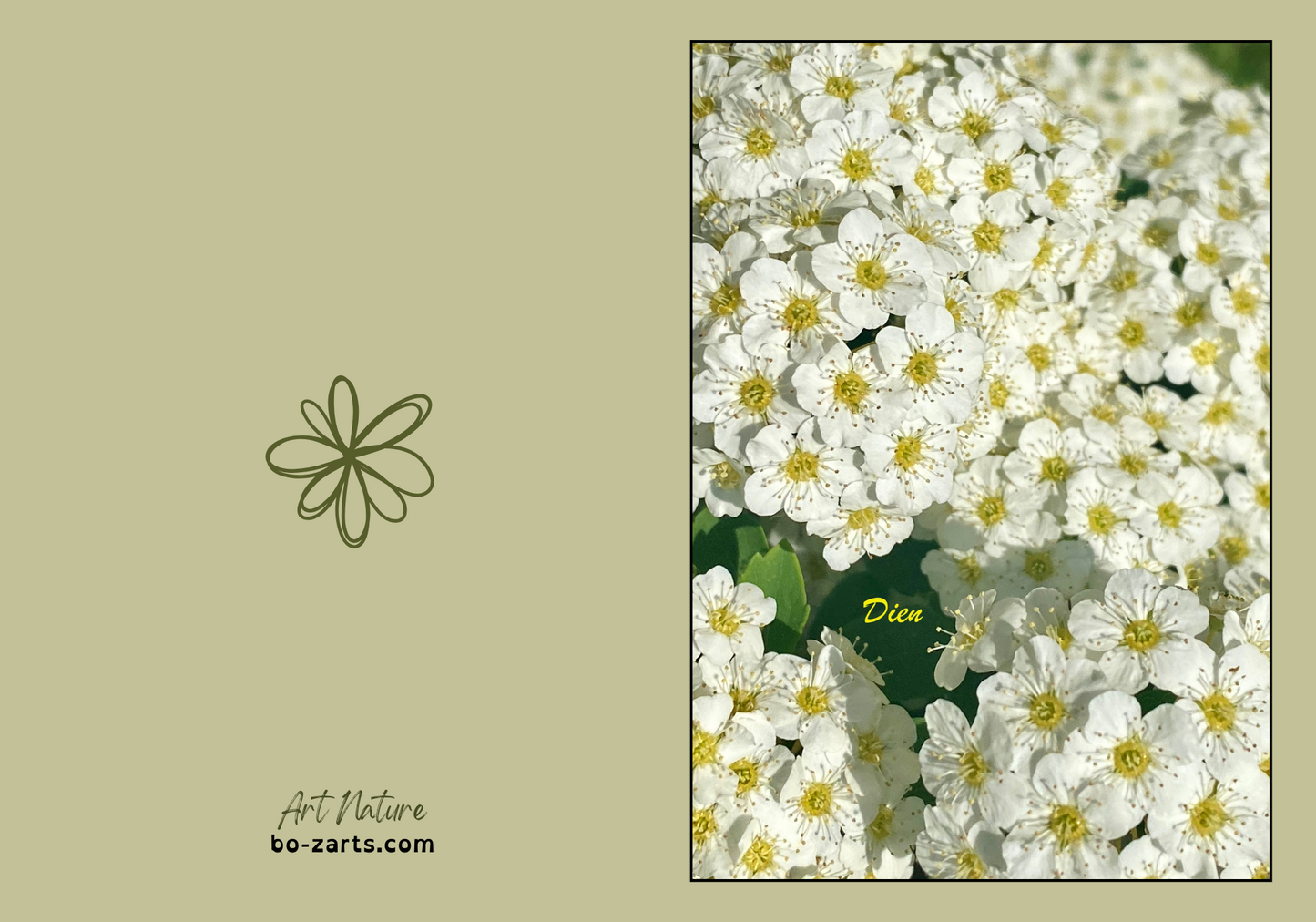 AN10038b