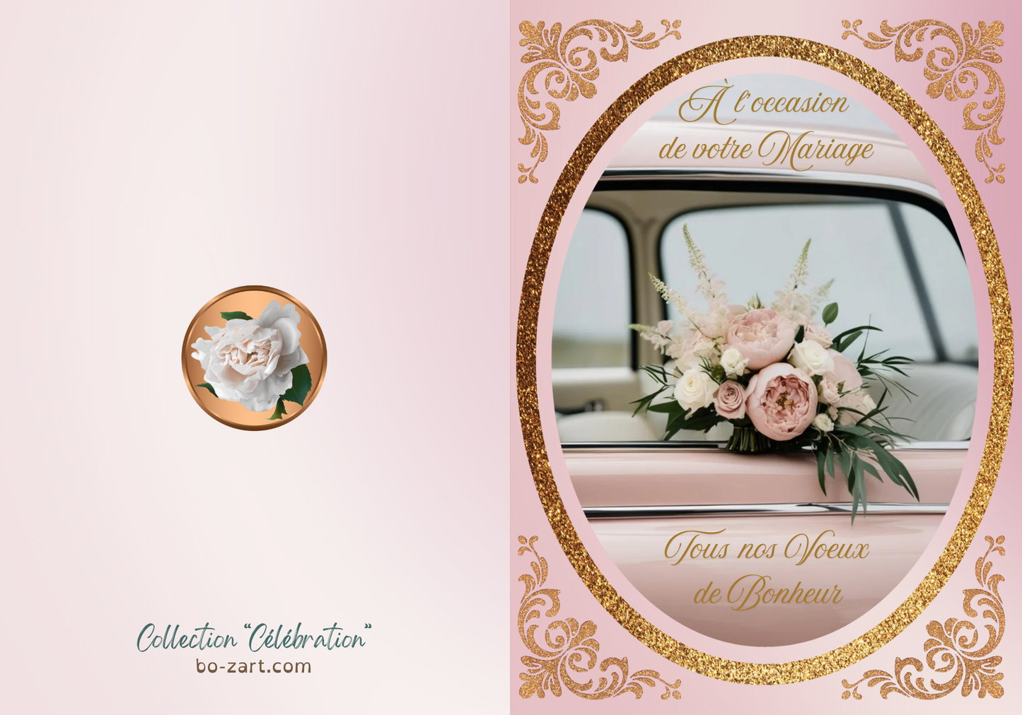 CCM10008