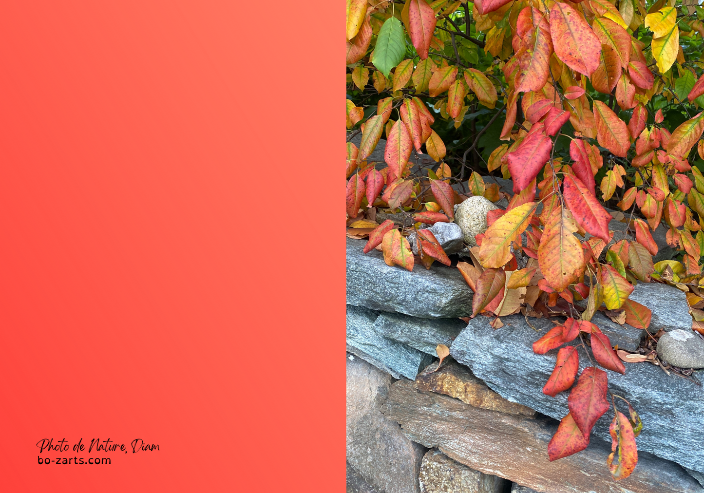 ARN10004
