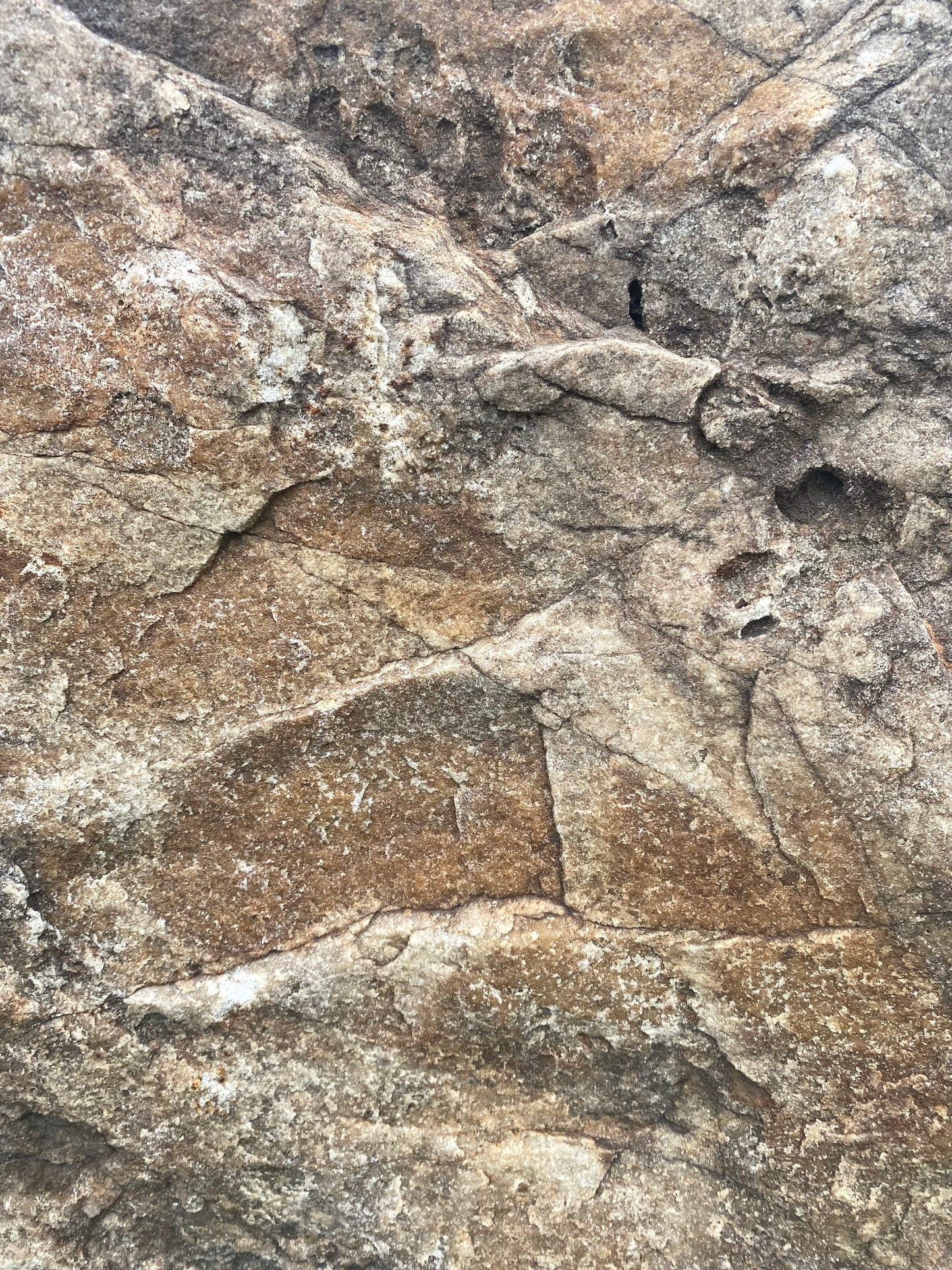AN10028