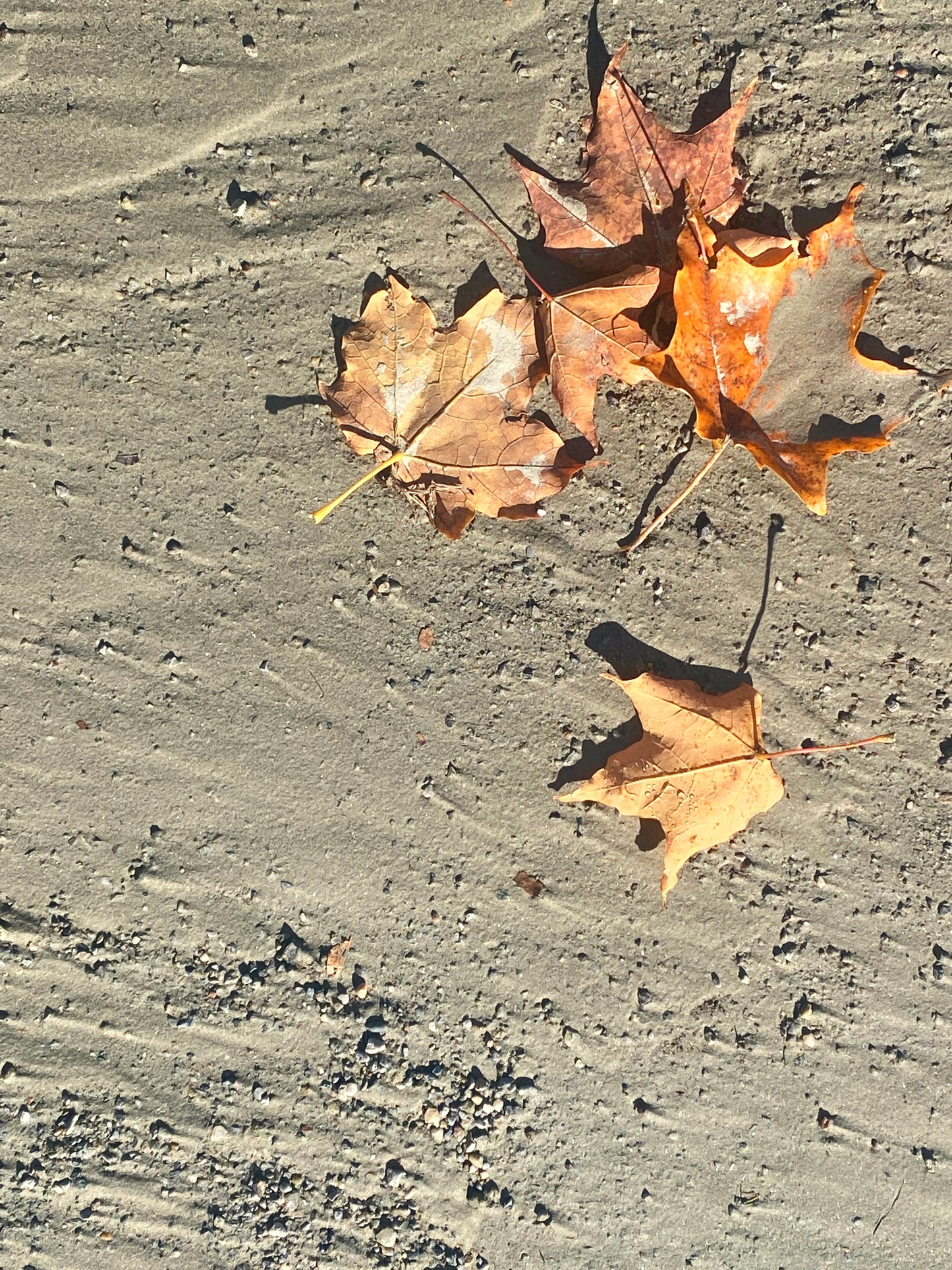 L1000