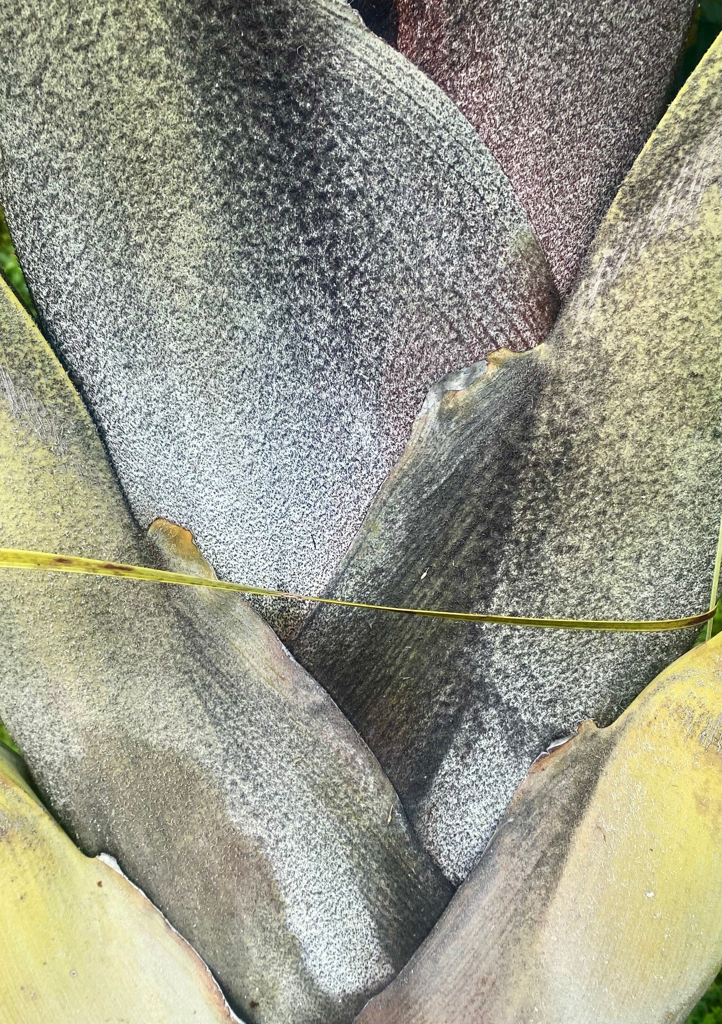 AE10102