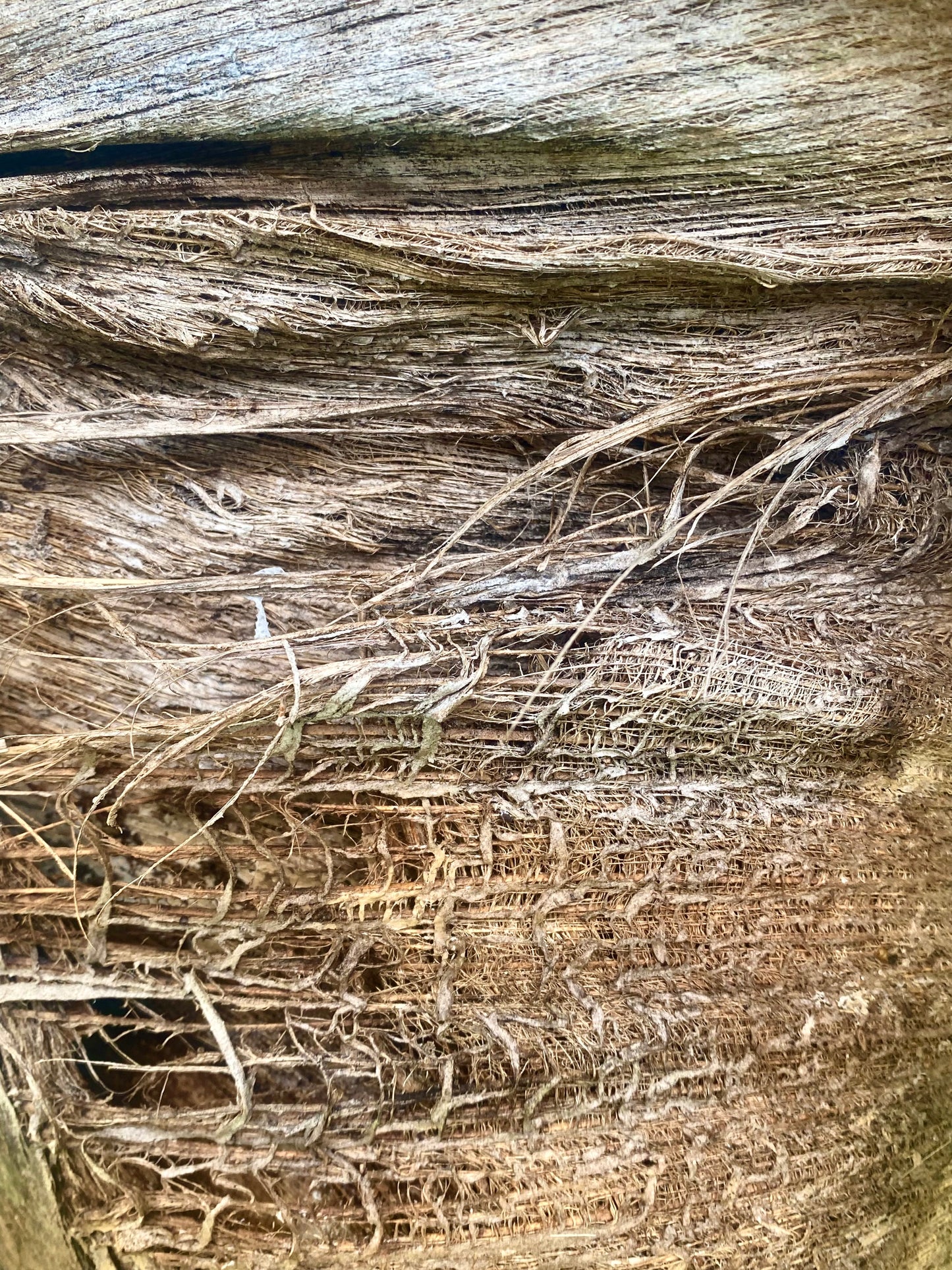 AE10045