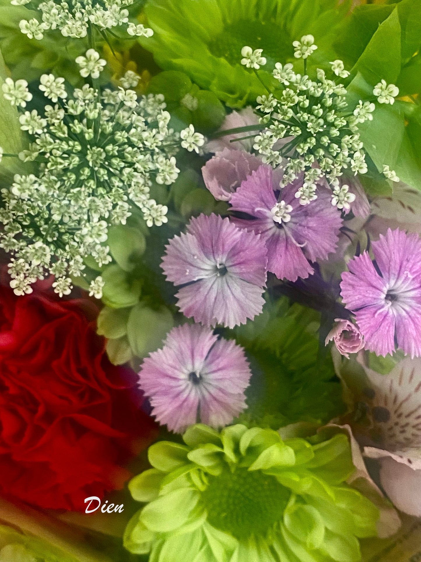 B10032
