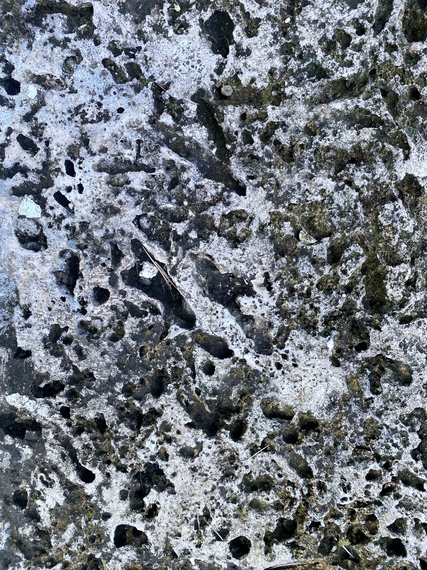 CIND100027
