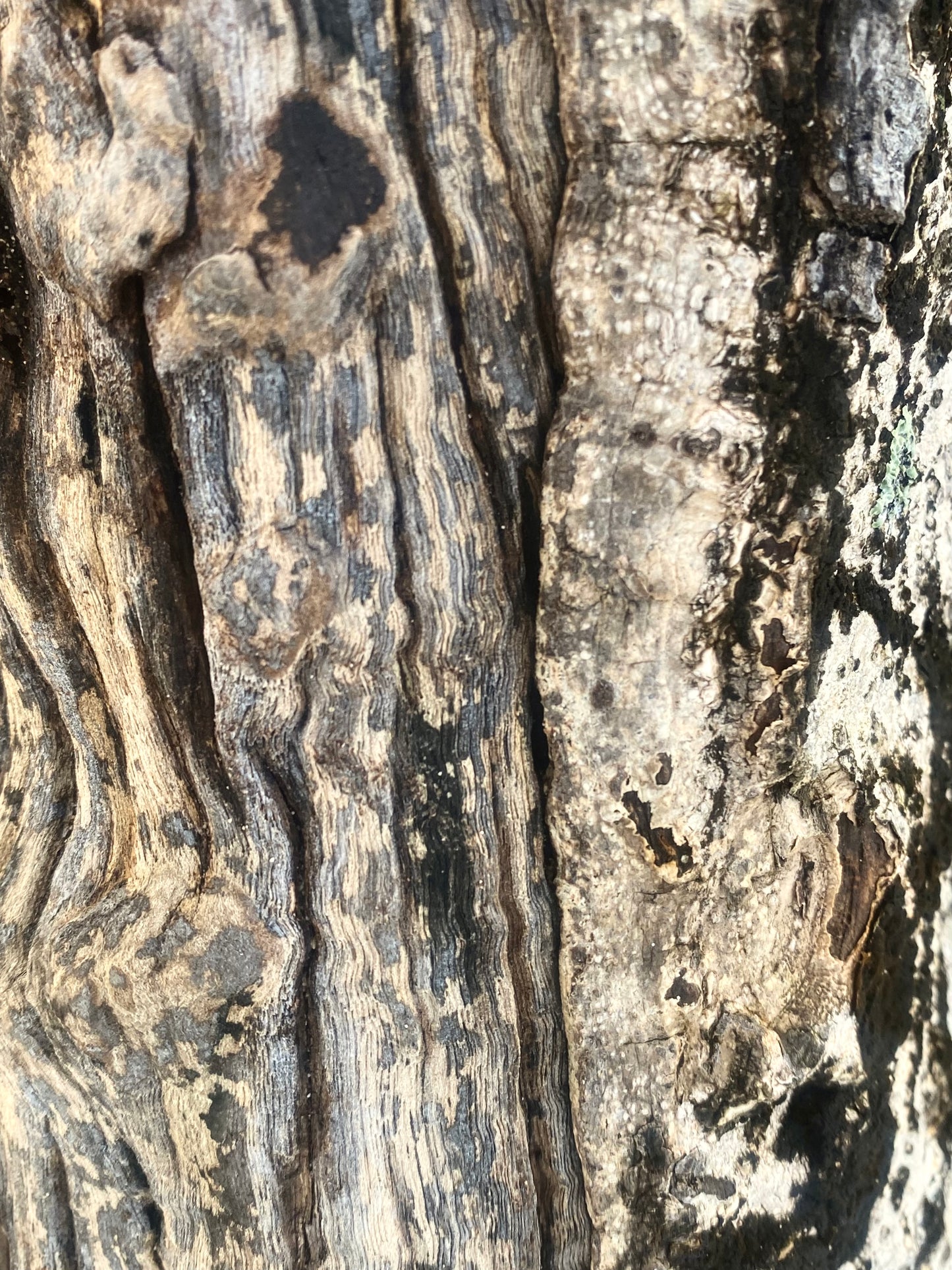 AE10046