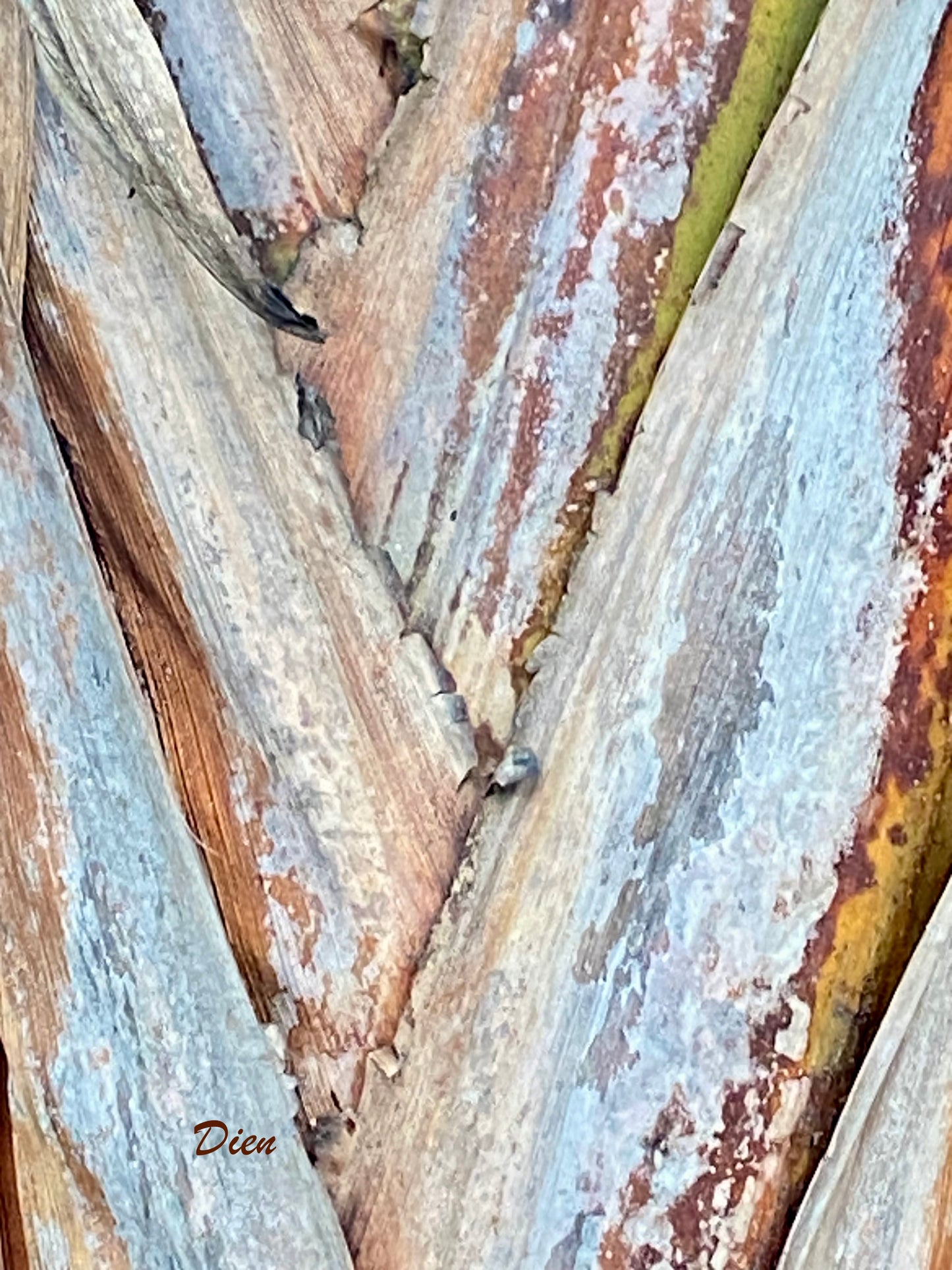 AE10136