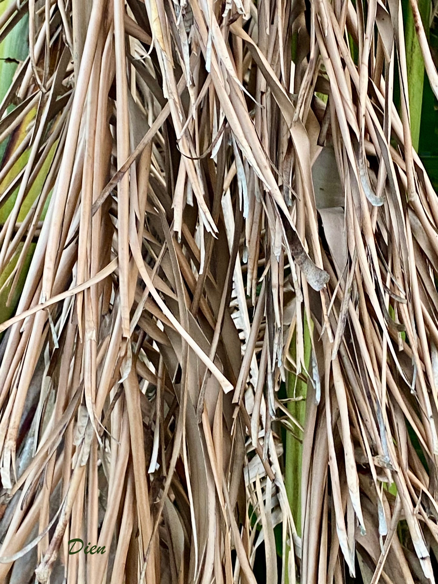 AE10128