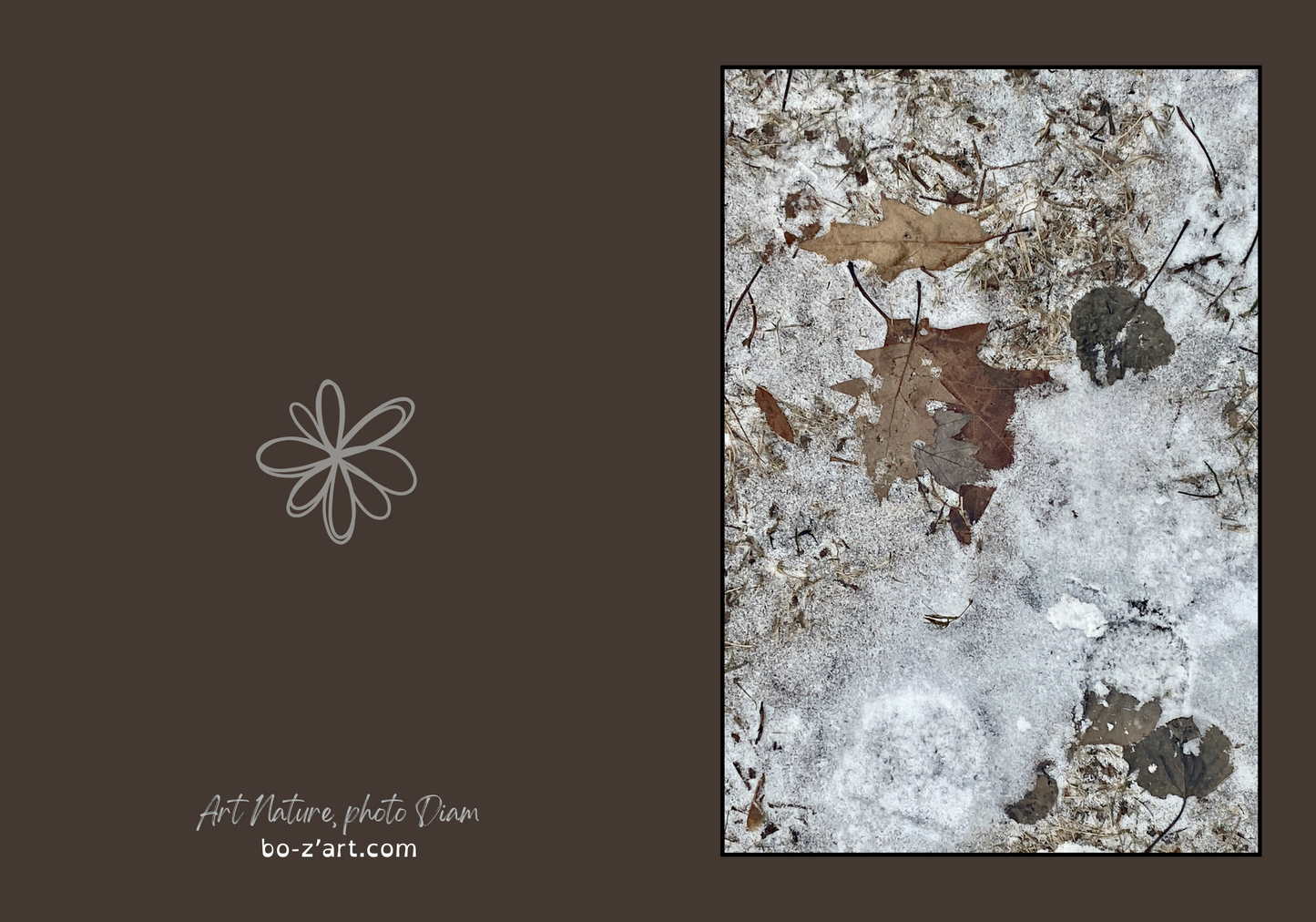 ANHV10017
