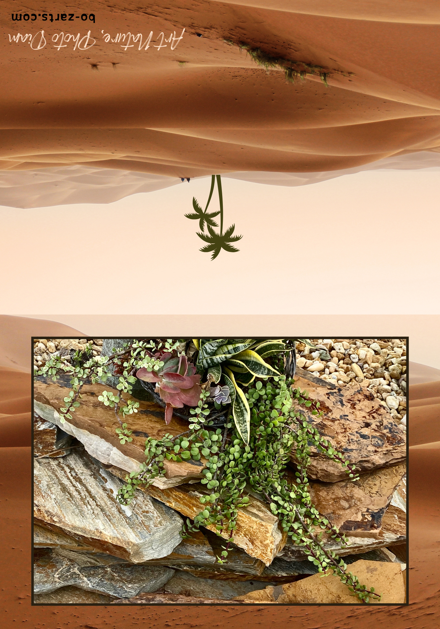 OPNTH10038