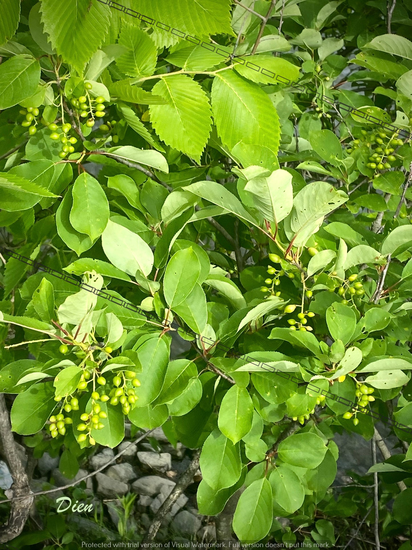 P10074