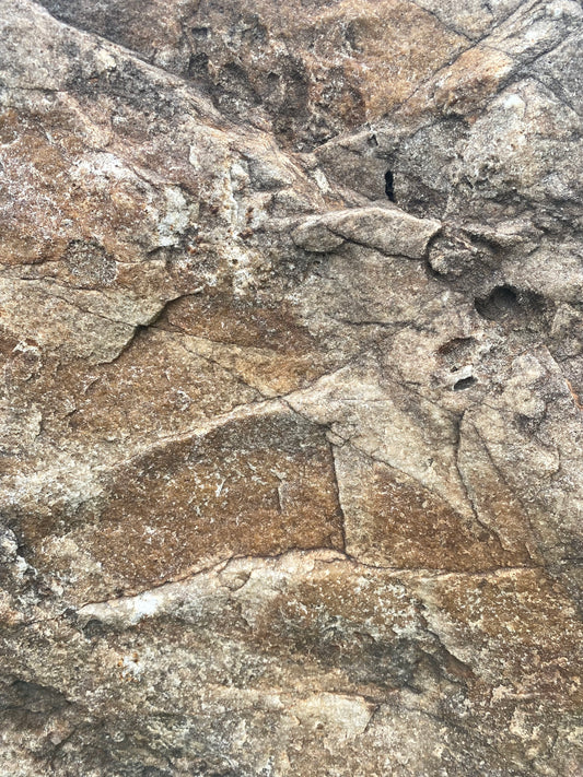 AN10028