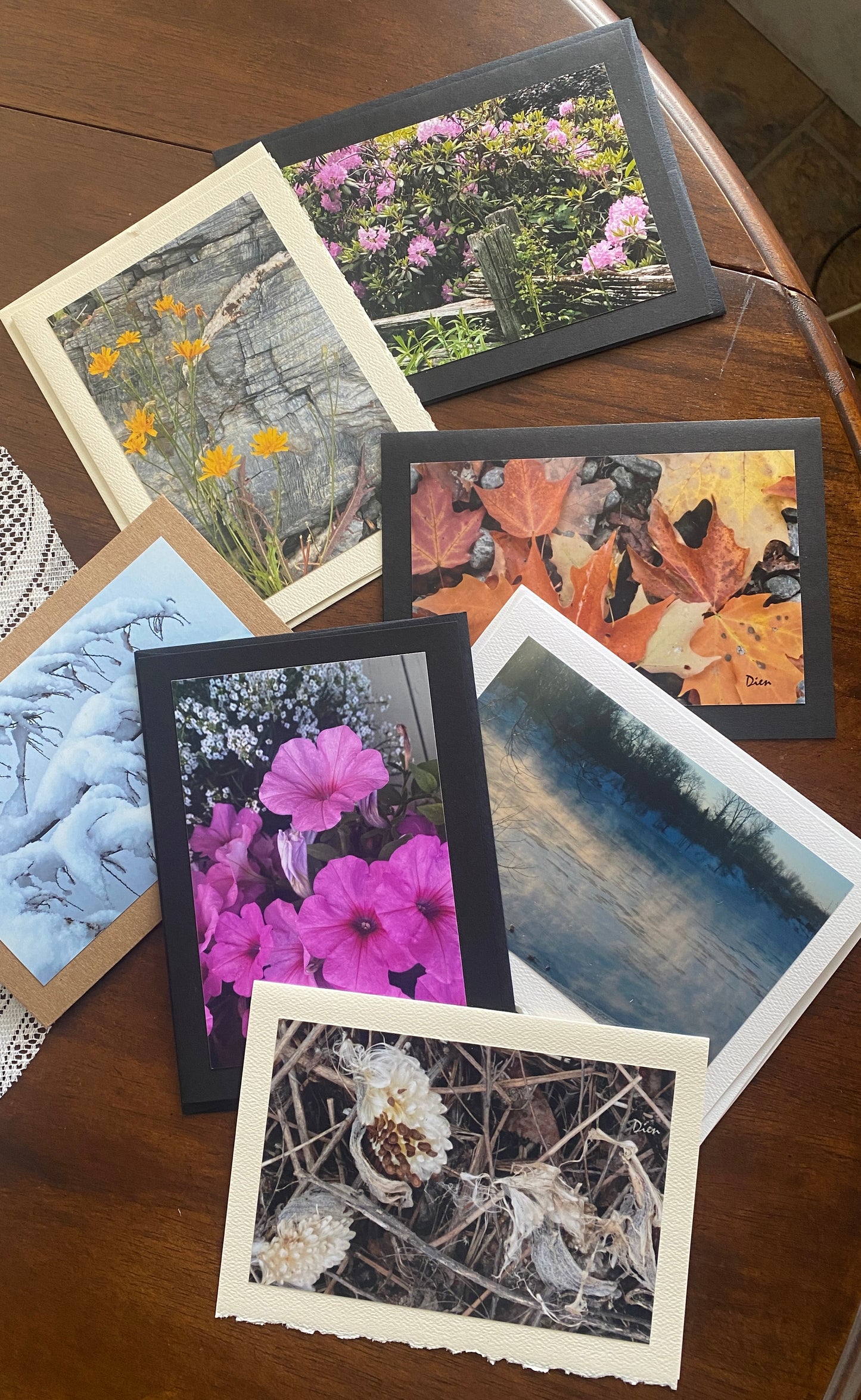 Promo l'Art de la Nature