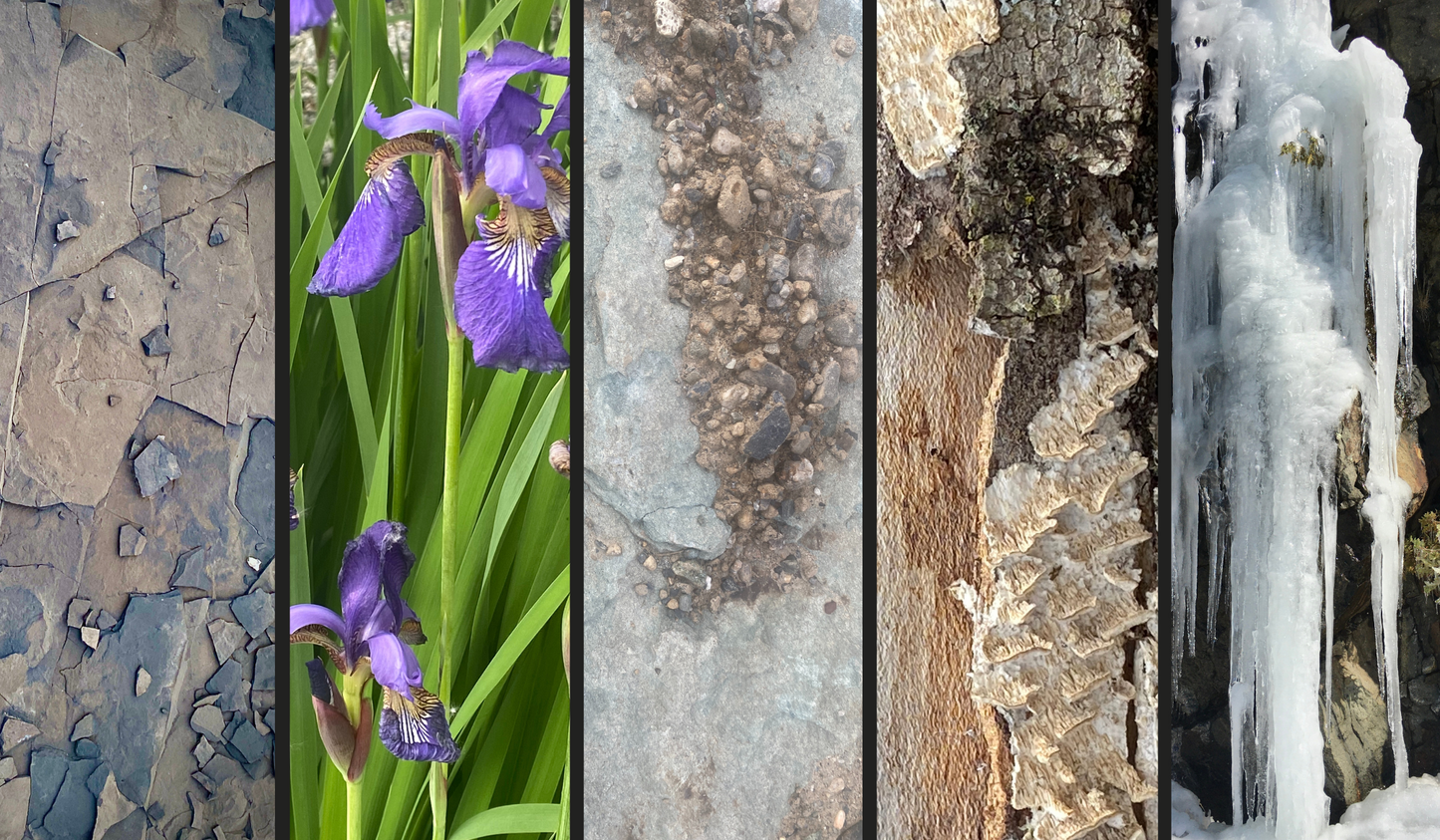 UW-10006
